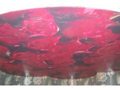 燈箱膜、軟拉膜與透光膜的卓越特性與應(yīng)用優(yōu)勢(shì)